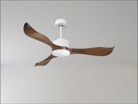 Ventilador de techo