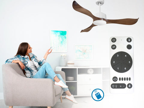 Ventilador de techo