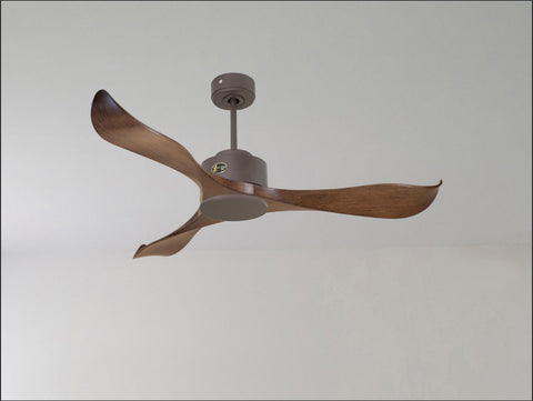 Ventilador de techo
