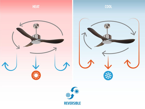 Ventilador de techo