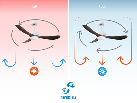 Ventilador de techo