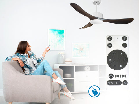Ventilador de techo