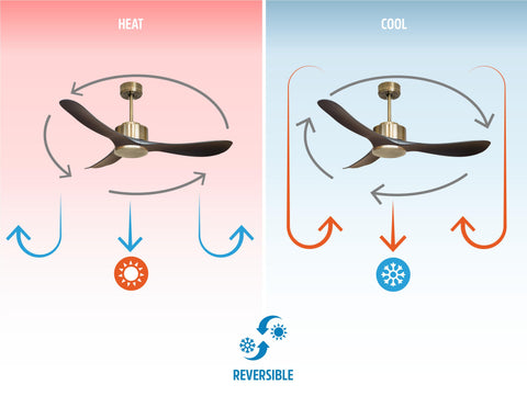 Ventilador de techo