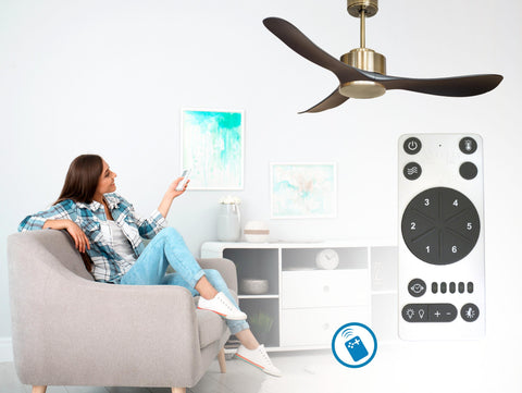 Ventilador de techo