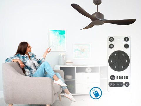 Ventilador de techo