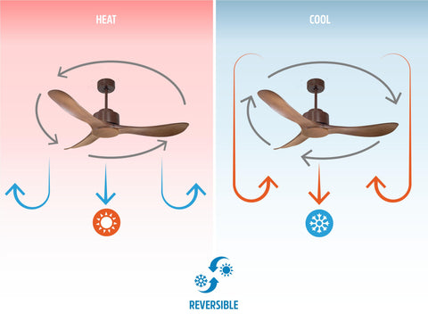 Ventilador de techo