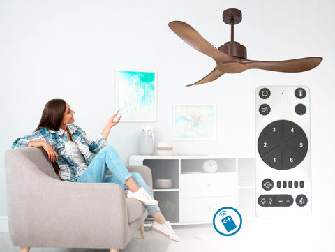 Ventilador de techo
