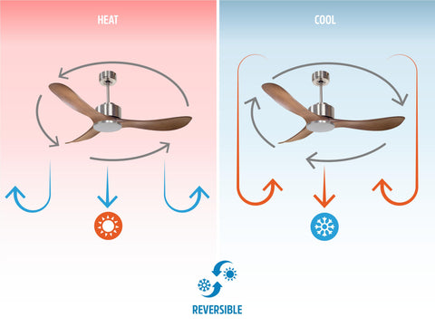Ventilador de techo