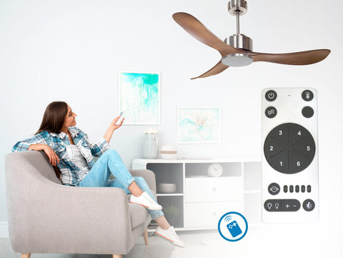 Ventilador de techo