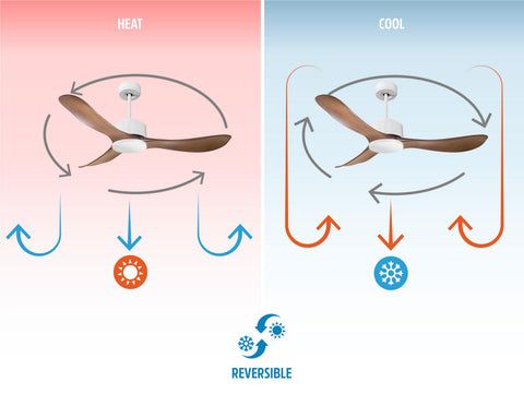 Ventilador de techo