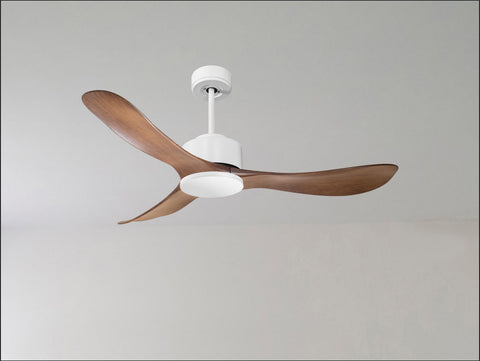 Ventilador de techo