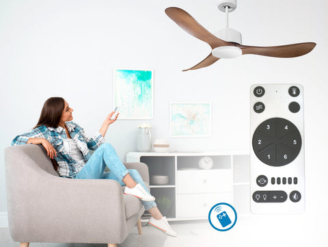Ventilador de techo