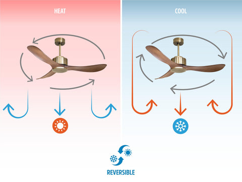 Ventilador de techo