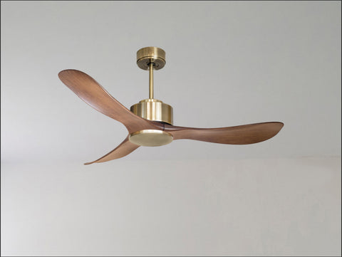 Ventilador de techo