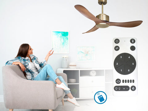 Ventilador de techo