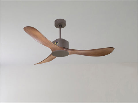 Ventilador de techo