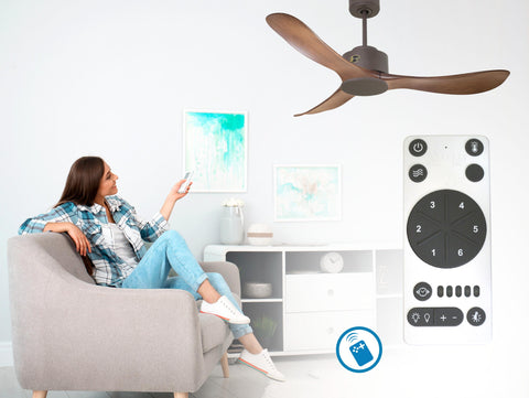 Ventilador de techo