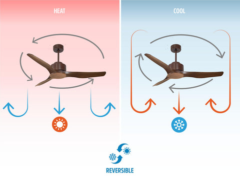 Ventilador de techo