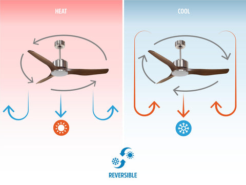 Ventilador de techo