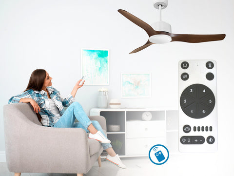 Ventilador de techo