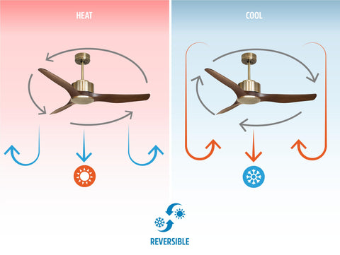 Ventilador de techo