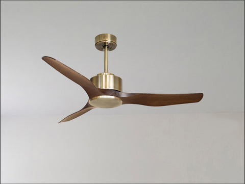 Ventilador de techo
