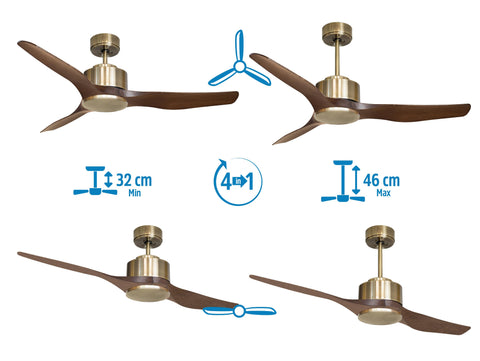 Ventilador de techo
