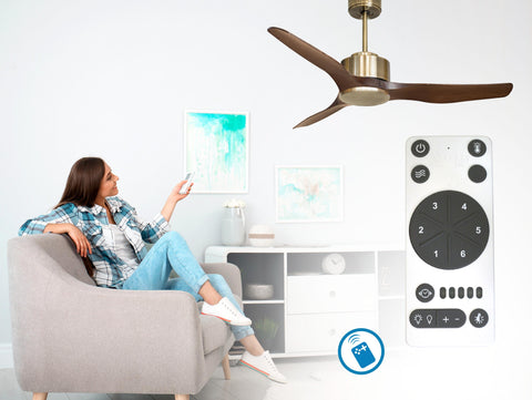 Ventilador de techo