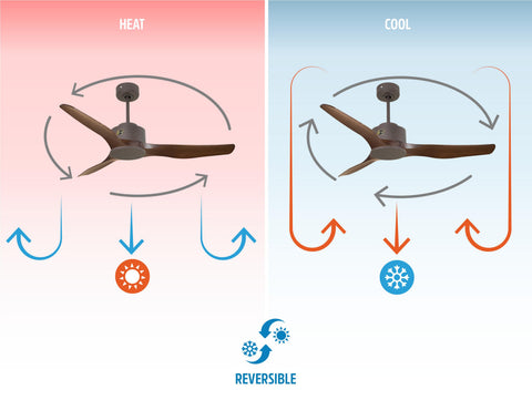 Ventilador de techo