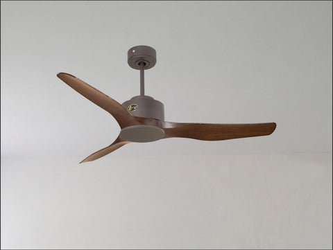 Ventilador de techo