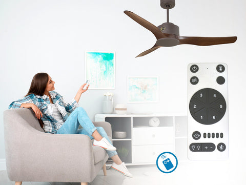 Ventilador de techo