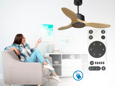 Ventilador de techo