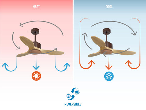 Ventilador de techo
