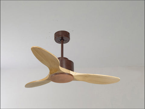Ventilador de techo