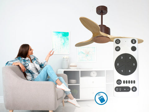 Ventilador de techo