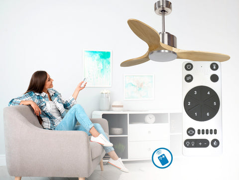 Ventilador de techo