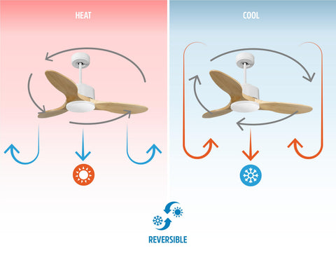 Ventilador de techo
