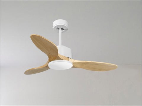 Ventilador de techo
