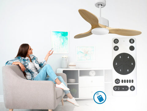 Ventilador de techo