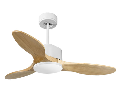 Ventilador de techo