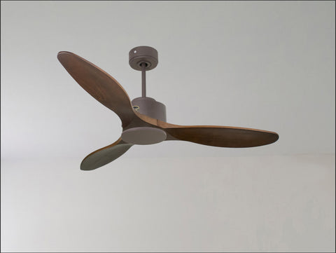 Ventilador de techo