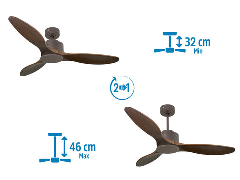 Ventilador de techo