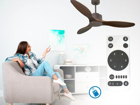 Ventilador de techo