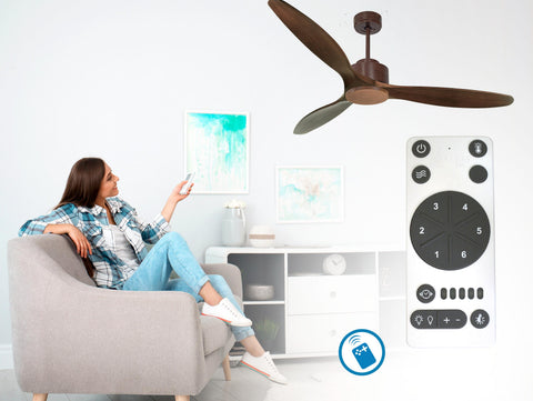 Ventilador de techo