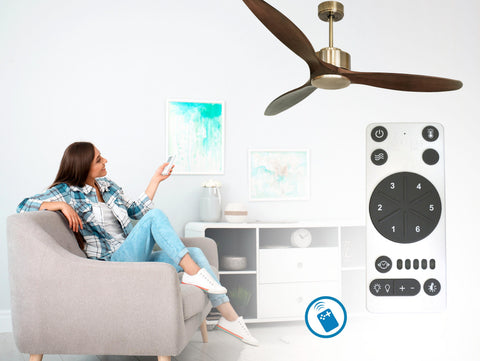 Ventilador de techo