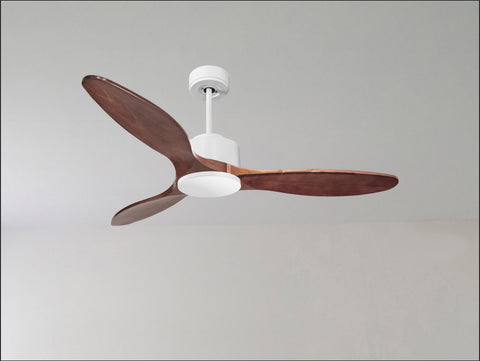 Ventilador de techo