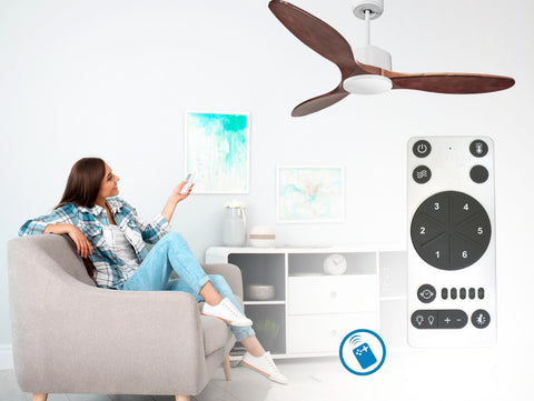 Ventilador de techo