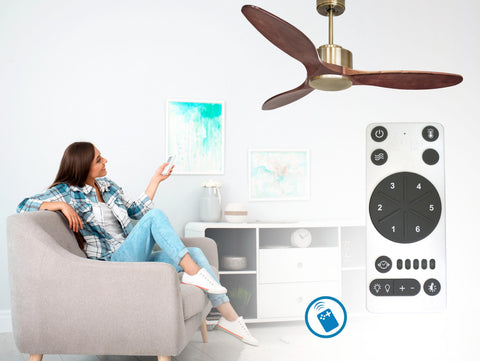 Ventilador de techo