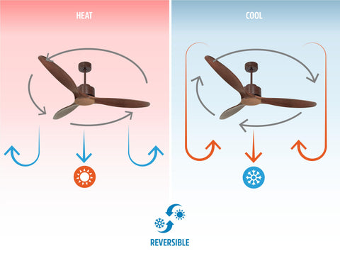 Ventilador de techo
