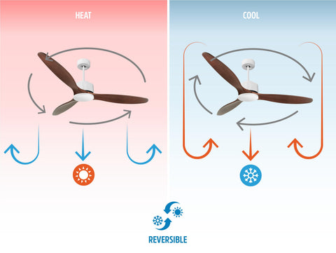 Ventilador de techo Reversible Termostato Wifi Motor DC Techos Inclinados Mando a Distancia Hypersilence Memoria